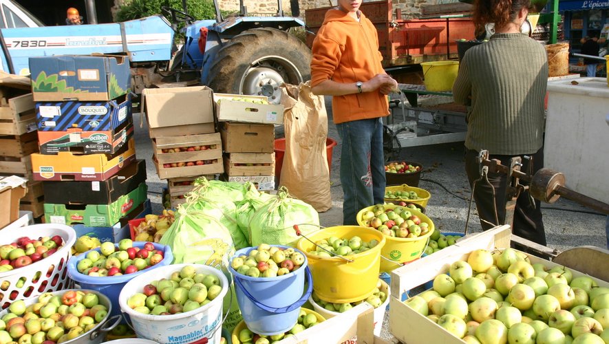 Les pommes seront pressées sur le marché de Najac