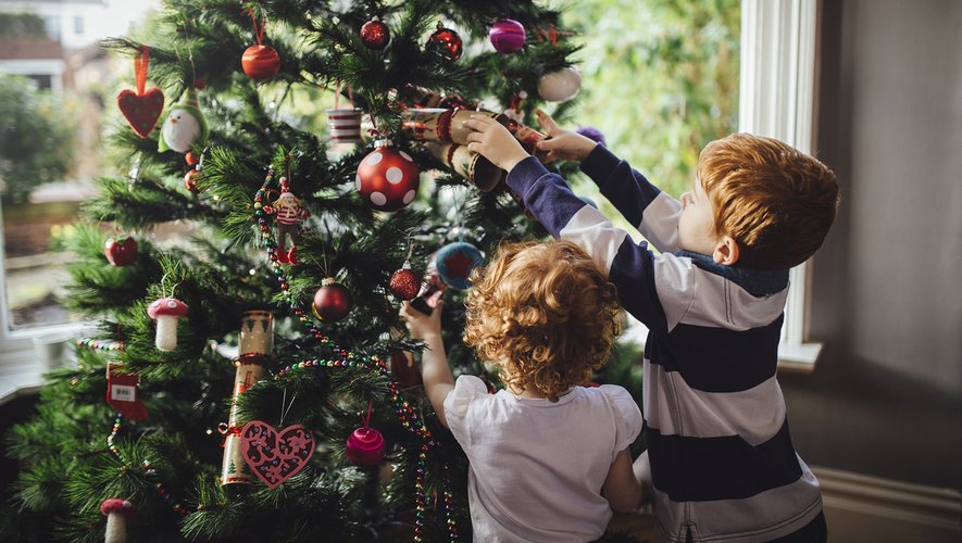 En France, 6 millions de sapins de Noël sont vendus chaque année, essentiellement dans les grandes surfaces, enseignes de bricolage et jardineries.