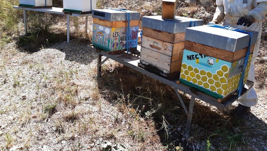 Le rucher communal a produit 49 kg de miel cette année et une tonne de lien social à Entraygues.