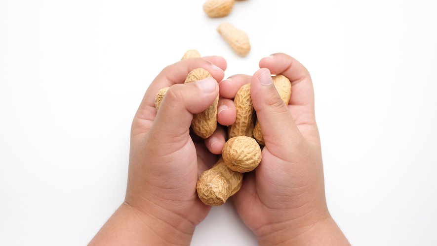 Allergies alimentaires des enfants : les parents victimes de moqueries