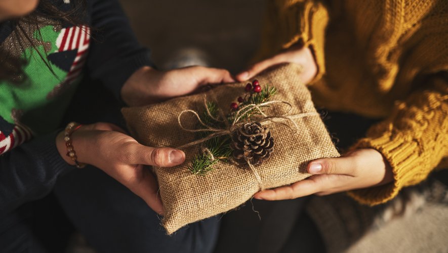 Voici quelques pistes pour savoir quels cadeaux écolo déposer au pied du sapin, tout en visant juste auprès de la personne à qui vous l'offrez.