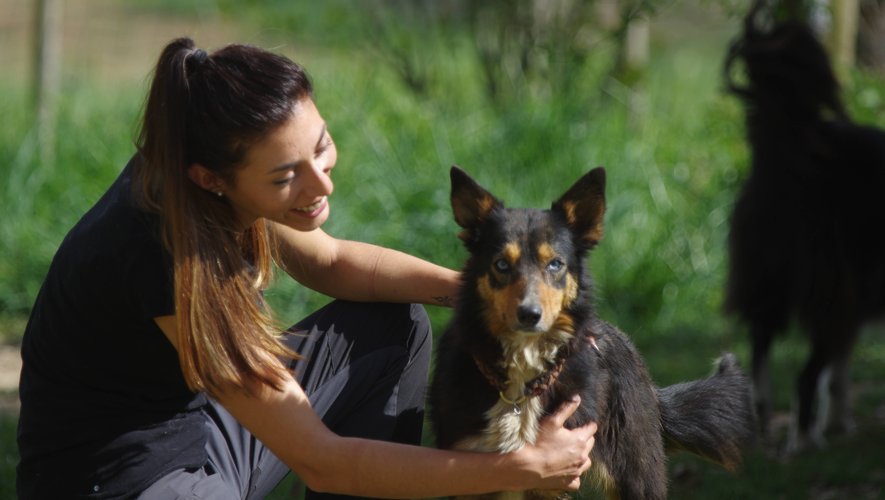 Lise Bricault intervient souventpour manipuler les chiens.Une pratique complémentaireau vétérinaire.