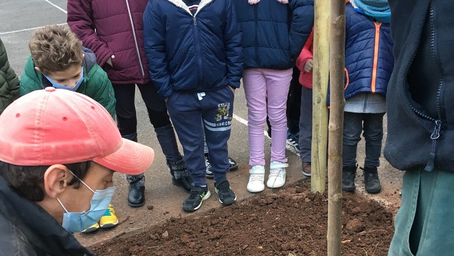 Les enfants ont surveillé la plantation de leur futur ami Arborespoir.