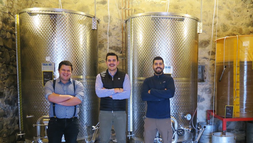 Bertrand, Paul et Pierre redonnent vie aux vignes familiales par amour des souches du vin et de leurs racines.