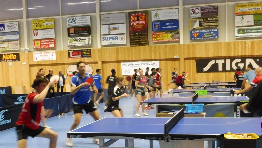 La ville d’Espalion a obtenu le label Terre de jeux 2024, pour des stages de haut niveau de tennis de table.