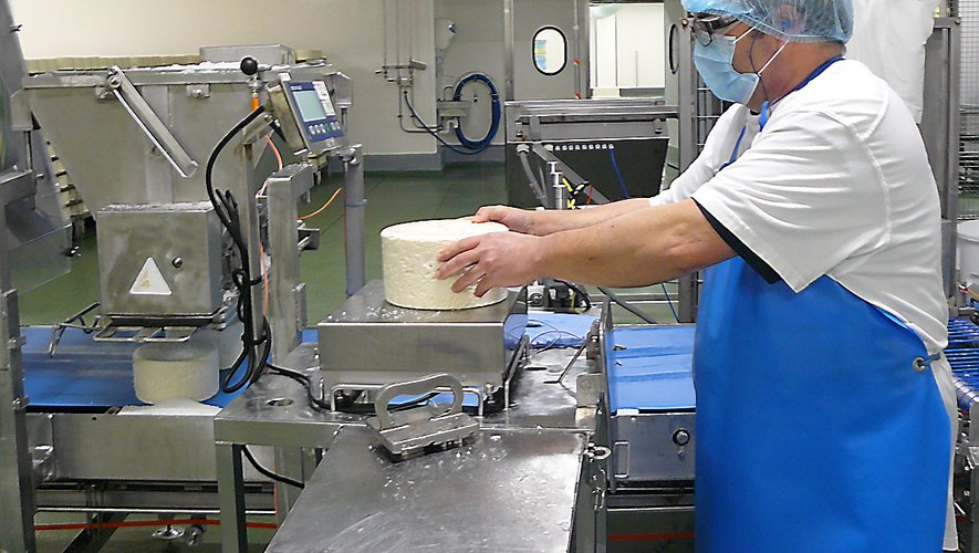 Les contrôles ponctuent les étapes de la fabrication du fromage.     