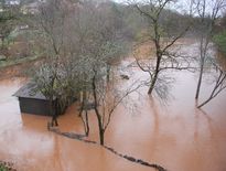 Les jardins du quartier Saint-Michel sont inondés.
