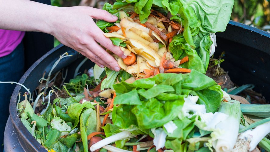 Chaque année, 1,3 milliard de tonnes de denrées alimentaires consommables seraient jetées à la poubelle dans le monde. Un bilan qui pourrait s'avérer deux fois plus élevé, si l'on en croit une étude parue en février 2020 dans The Lancet.