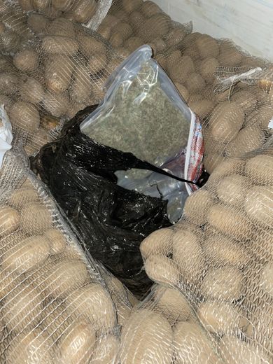 La drogue se trouvait au milieu des sacs de pommes de terre.