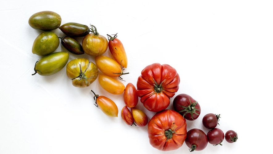 Apprendre à planter des tomates ou des choux ? Il y a une appli pour ça !