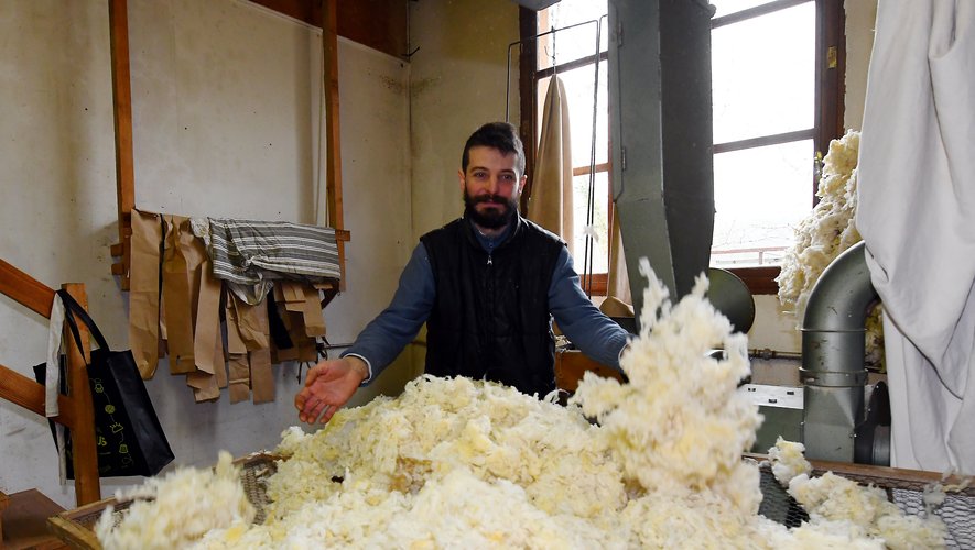 Guillaume Jouin valorise la laine locale sous toutes ses coutures