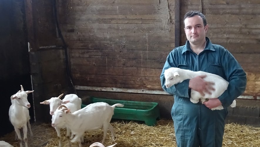 Accueillir un élevage de chèvre dans sa bergerie