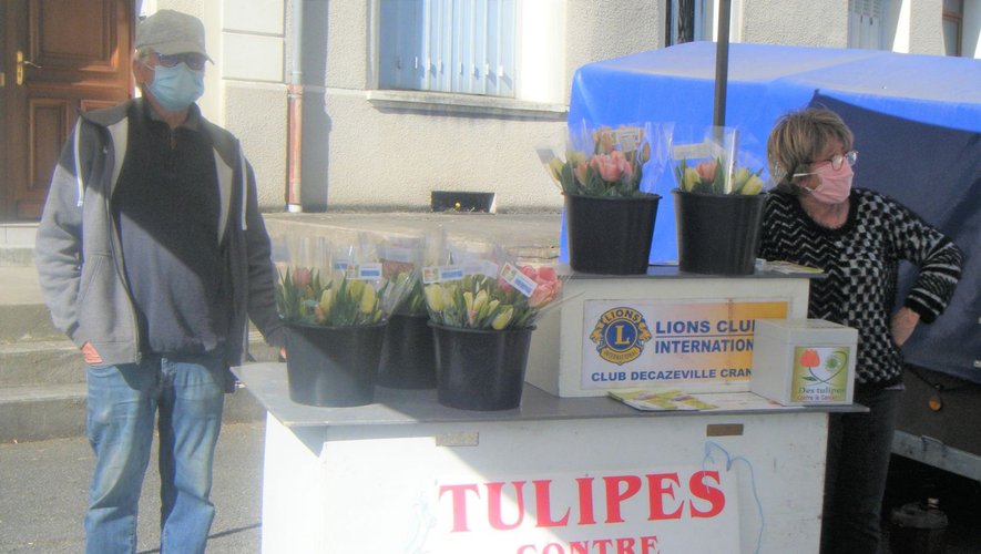Des tulipes à acheter sur les marchés de la région.