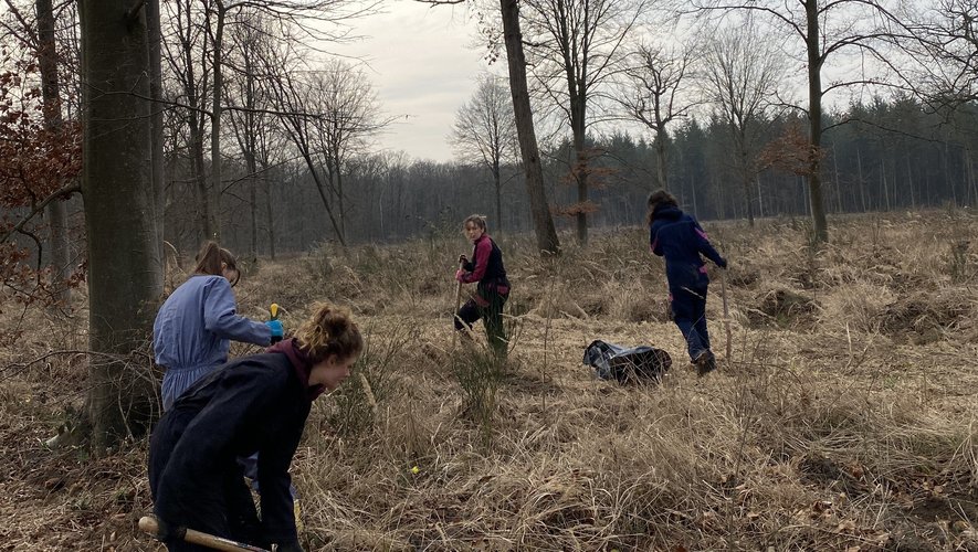 Des bénévoles prélèvent des éléments dans la forêt de Chantilly : bourgeons, insectes, racines... Ces échantillons seront ensuite analysés par des scientifiques de l'INRAE, dans le cadre d'un vaste projet visant à protéger ce massif forestier.