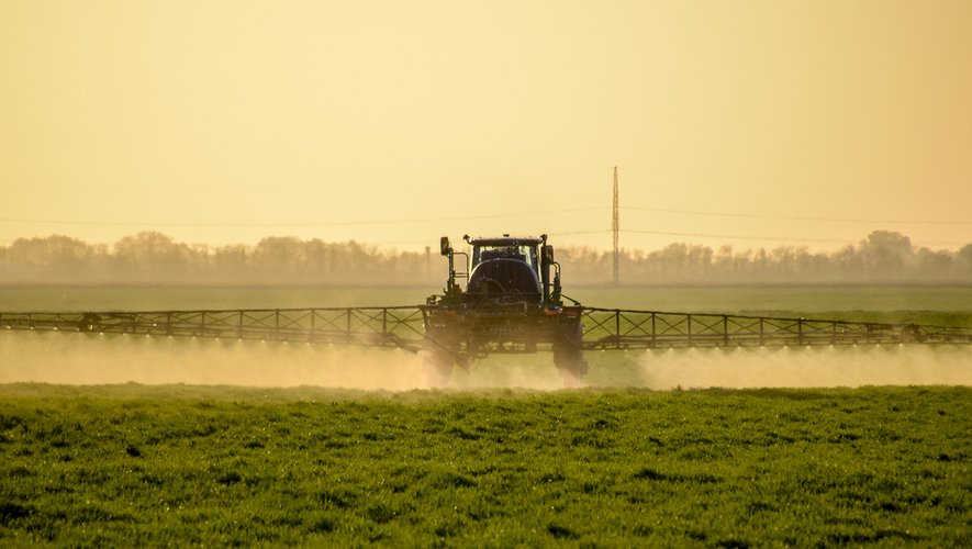 Plus d'un million de consommateurs, surtout en zones rurales, boivent une eau polluée essentiellement par des pesticides, dénonce mardi UFC-Que Choisir.