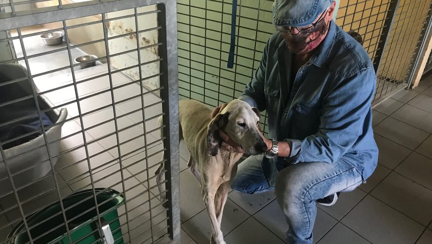 Jean-Pierre Blanc rassure l’un des 7 chiens sauvés à Lassouts.