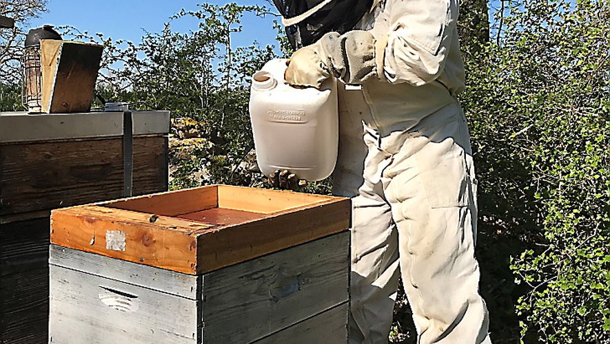 L’apiculteur Michel Rives verse du sirop dans le nourrisseur.