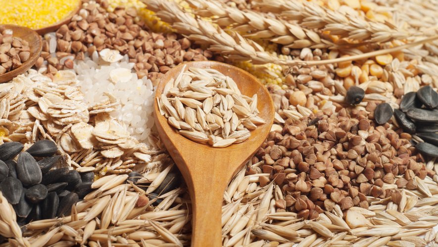 Céréales et santé : ces graines qui nous veulent du bien