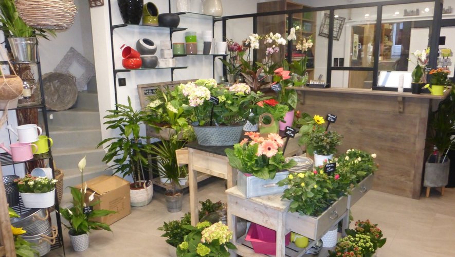 Le magasin offre un espace agréable pour choisir les fleurs.