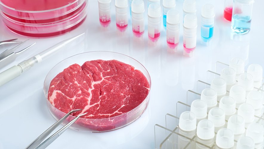Les jeunes plus enclins que les boomers à manger de la viande cultivée en laboratoire