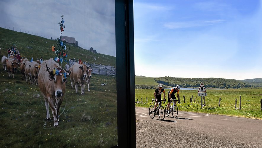 Au total, plus de 320 cyclistes ont répondu présent à l'appel de la 24e Marmotte d'Olt.