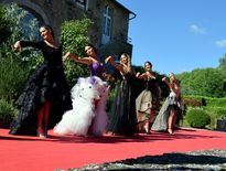 Les Miss Midi-Pyrénées ont assuré le show tout l'après-midi, aux côtés des candidates aveyronnaise.
