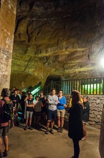 Visitez les caves du roi du fromage.