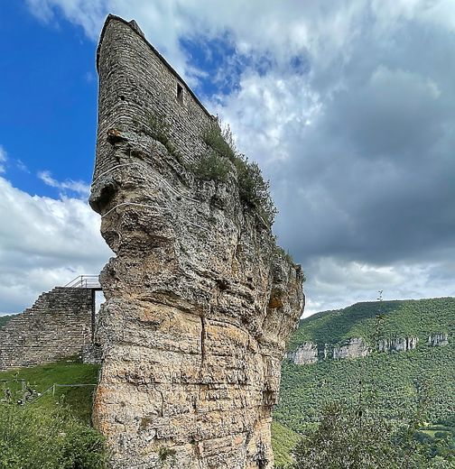 Le château posé sur son rocher domine la vallée du  Tarn.