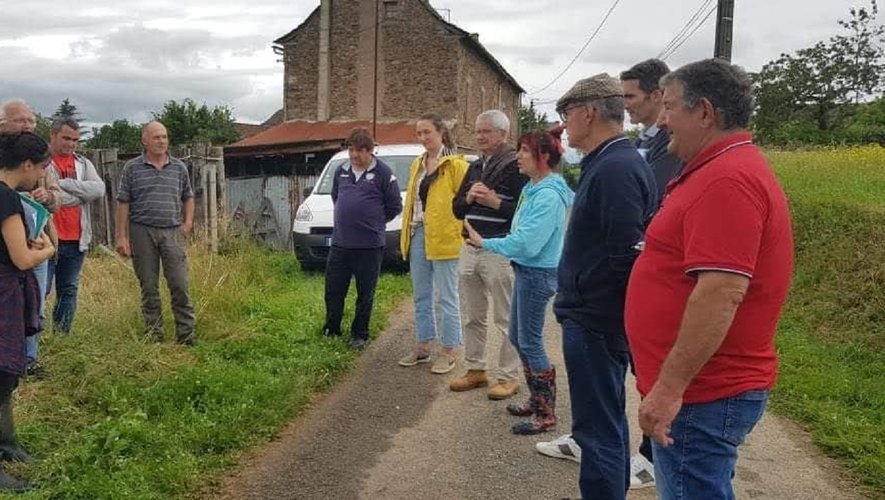 Les élus en visite sur l’exploitation de Jacques Rey à Lescure-Jaoul.