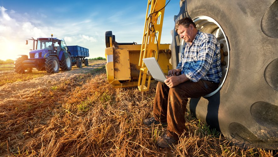 L'analyse d'une multitude de données peut aider les agriculteurs à optimiser leur rendement.