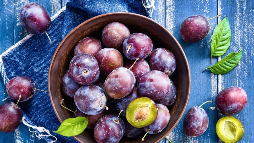 La prune, un fruit qui compte en été