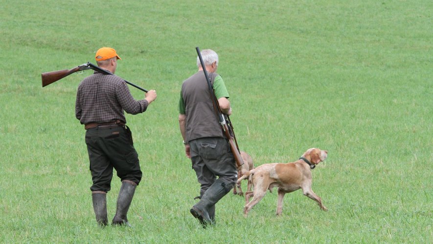 En Aveyron, la chasse au sanglier a réouvert ce dimanche 15 août.