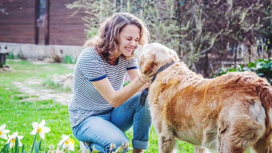 5 bonnes raisons (scientifiques) d’adopter un chien