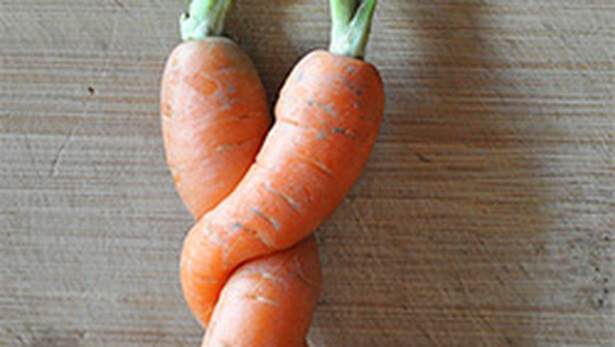 Christine et Guillaume Viala comme des carottes enlacées pour partager avec goût les mets et les mots.