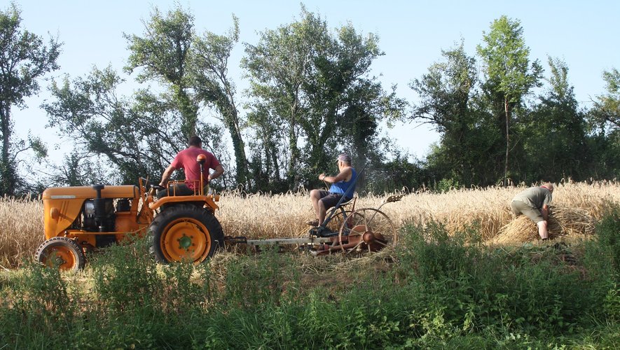 Une tradition renouvelée chaque année par le club patrimoine