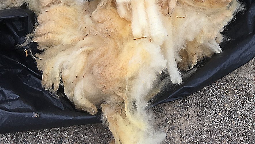 Un pull-over avec une laine filée main sera beaucoup plus chaud que filé de manière mécanique car elle n’est pas tordue de la même façon.