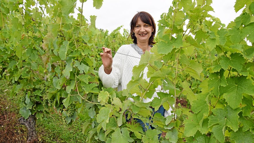 La Lucoise Cécile Laur reconnaît passer beaucoup de temps dans les vignes et chez les producteurs : "J’aime partager ma passion et mes découvertes mais je n’oublie jamais que le meilleur vin, c’est celui que vous aimez".	Rui Dos Santos