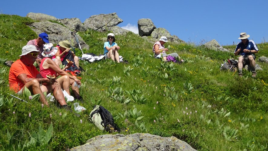 Un groupe de randonneurs pique-niquant au plomb du Cantal.