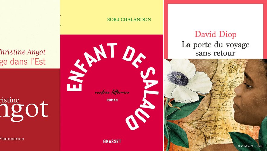 "Le Voyage dans l'Est" de Christine Angot, "Enfant de salaud" de Sorj Chalandon, et "La Porte du voyage sans retour" de David Diop sont dans la première sélection du prix Goncourt.