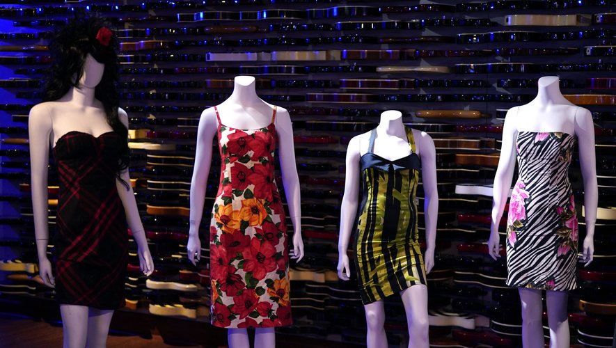 Des robes par dizaines, des livres, disques, sacs et objets ayant appartenu à Amy Winehouse seront mis aux enchères en Californie en novembre.