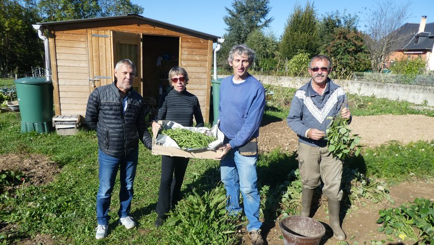 François Brossard entouré de Jacques, Joëlle et Philippe en train de cueillir une belle récolte de haricots verts vendredi dernier.