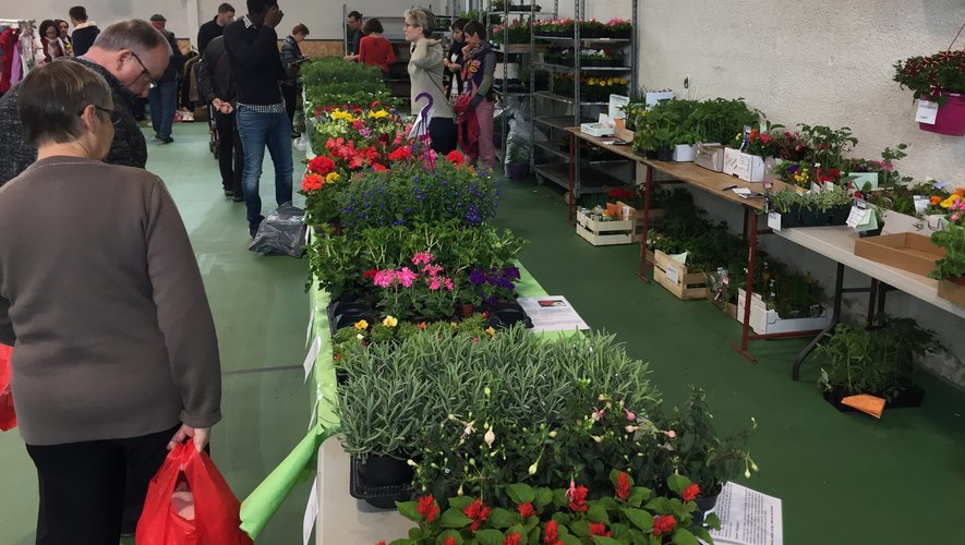 La vente de fleurs organisée par l’APE connaît chaque année un vif succès
