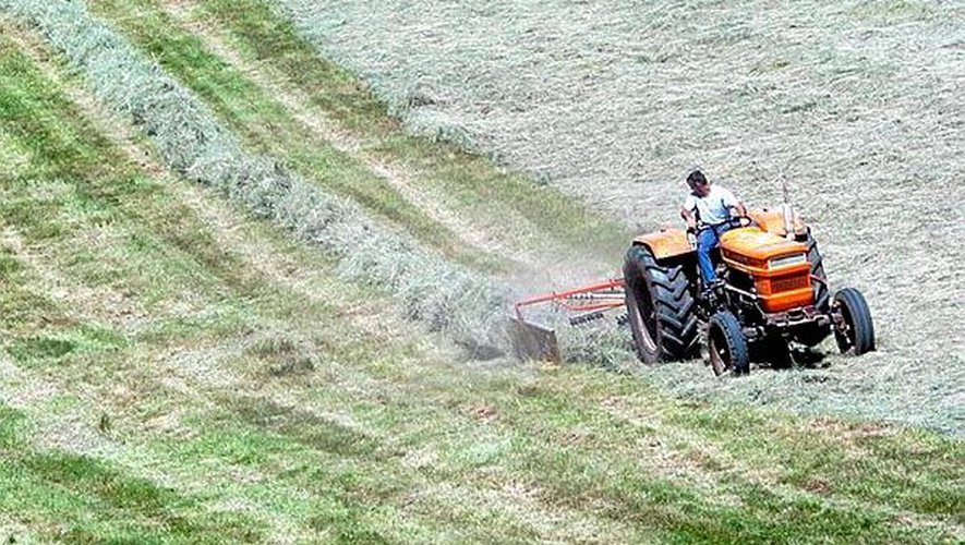 Dans le plan européen "De la ferme à la fourchette", le développement de l'agriculture bio et l'utilisation de moins de pesticides.