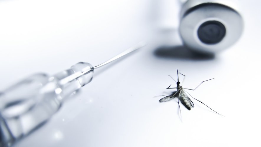 
			Paludisme : l’OMS recommande pour la première fois un vaccin pour les enfants
		