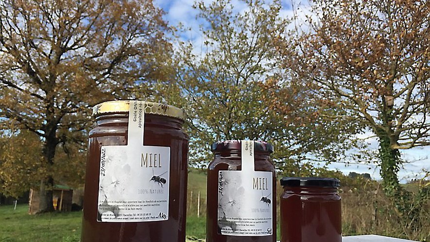 Le miel de fleurs d’été et le miel de forêt constituent pour l’heure les deux produits phares commercialisés par Gisèle Onno.