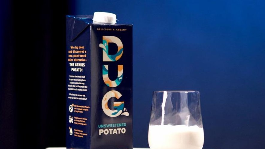 En 2022, on boira... du lait de patates, et c'est le géant de la distribution britannique Waitrose qui l'a dit !