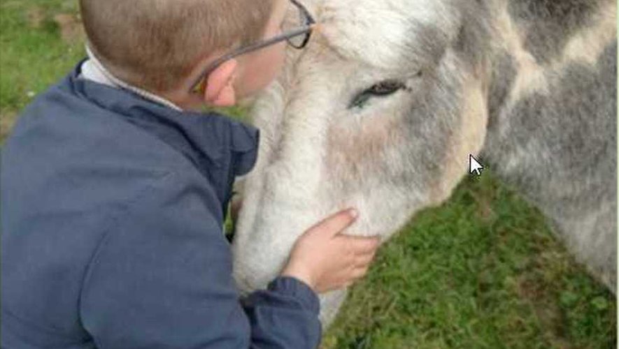 Saint Hippolyte Les Bee Betes Du Somme Mee Par Passion Et Amour Des Animaux Centrepresseaveyron Fr Saint Hippolyte Les Bee Betes Du Somme Mee Par Passion Et Amour Des Animaux Centrepresseaveyron Fr