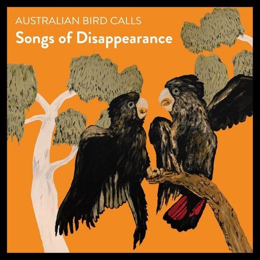 L'album "Songs Of Disappearance debuts" a pris d'assaut les charts en Australie.