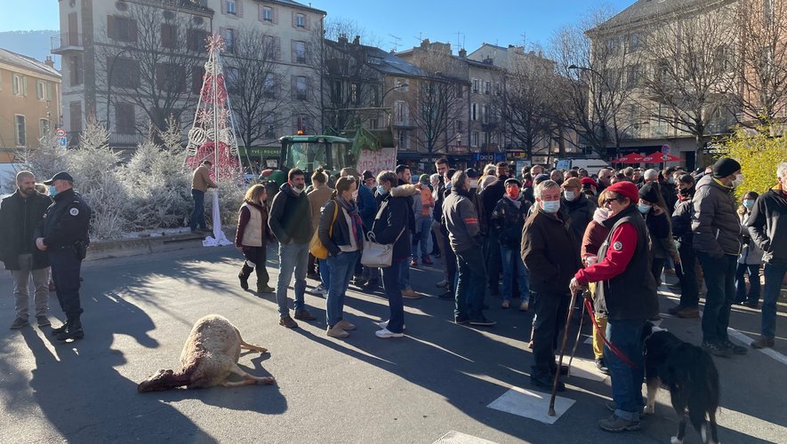 Une manifestation a eu lieu à Millau le 17 décembre.