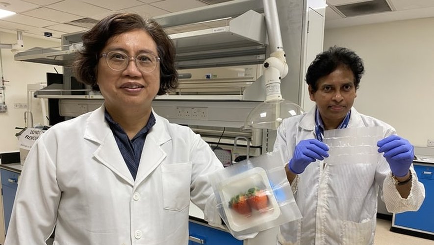 Des chercheurs singapouriens et américains ont mis au point un emballage biodégradable et durable pour éloigner les bactéries et conserver vos végétaux.